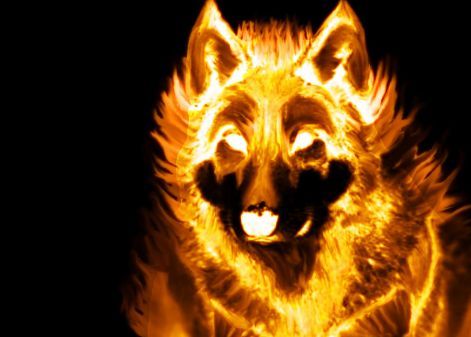 fire_wolf.jpg