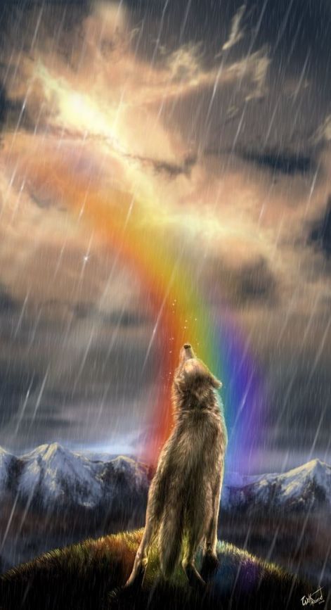 rainbow_wolf.jpg