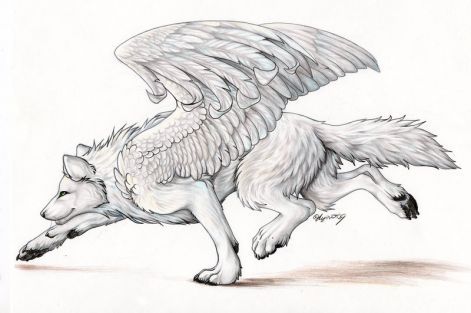 wolf_with_wings.jpg
